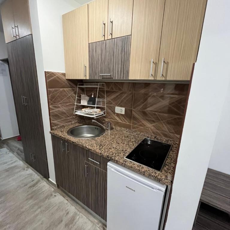 Vila Suri Centar - Studio Apartman - 9