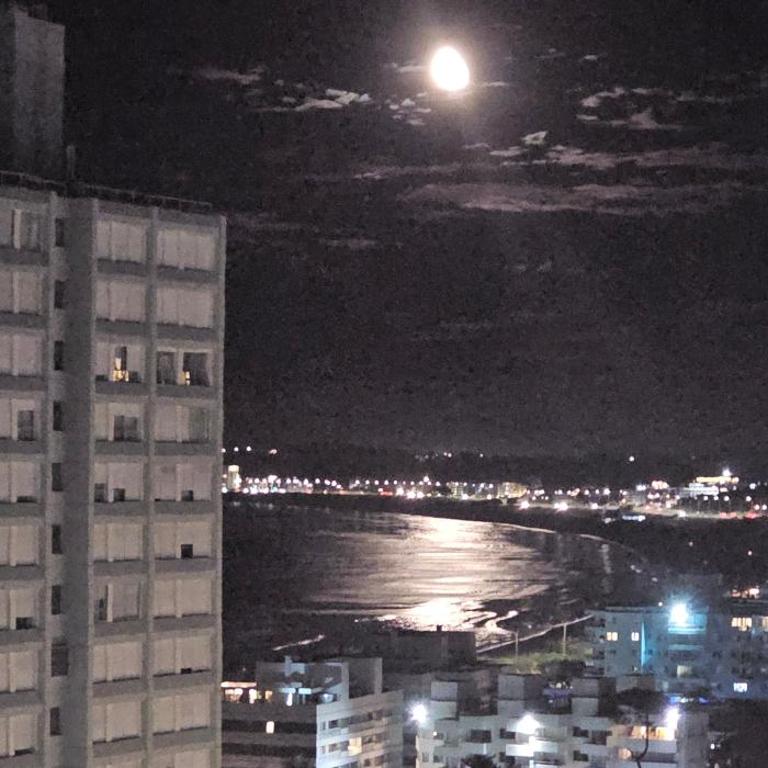 apartamento a estrenar frente al mar - Apartamento de 3 dormitorios con vistas al mar - 51
