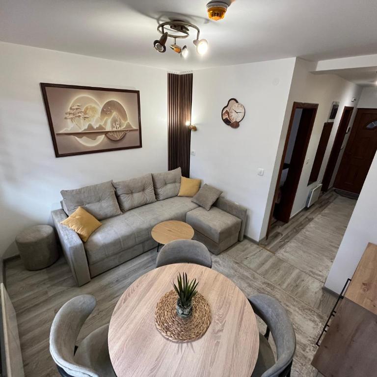 Vila Suri Centar - Studio Apartman - 14