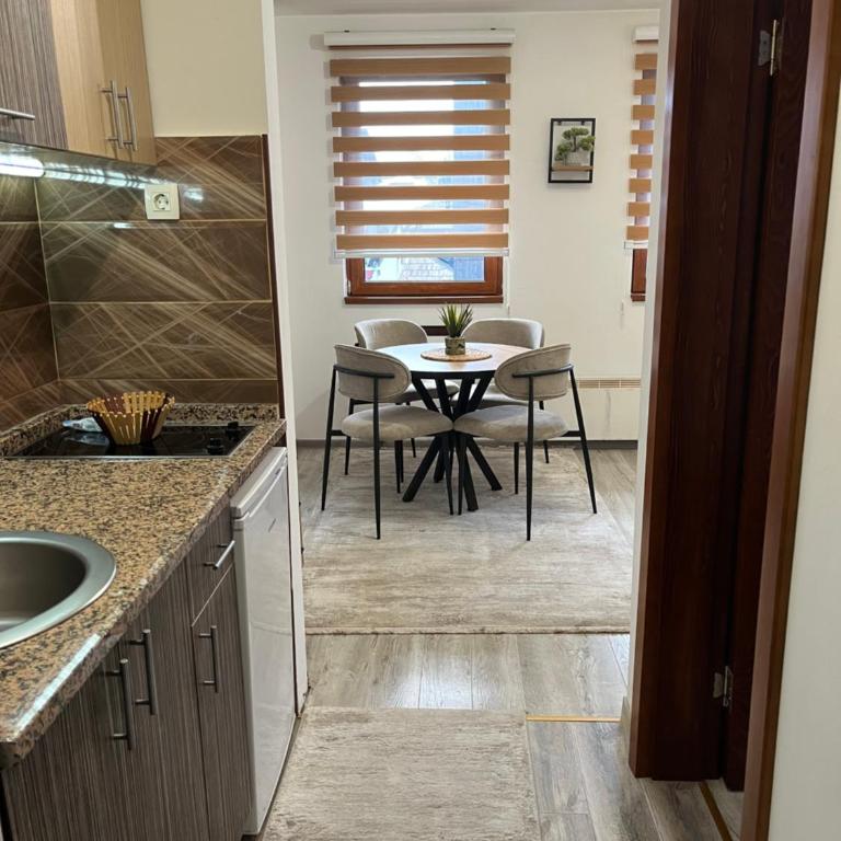 Vila Suri Centar - Studio Apartman - 11