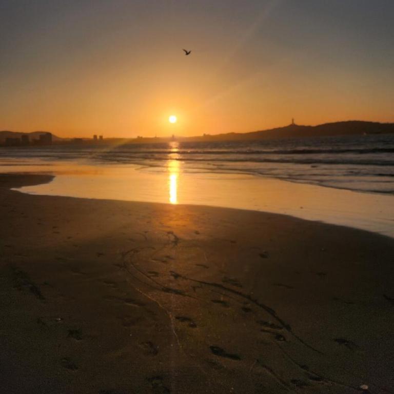 La Perla de Coquimbo - One-Bedroom Apartment - 28