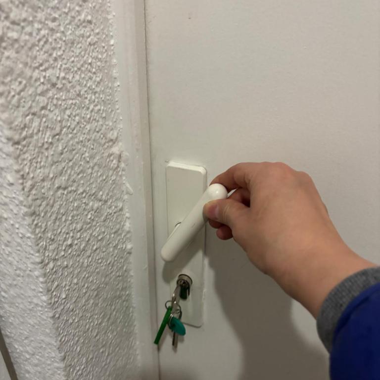 L Alsacienne F2 centre ville - Apartment mit 1 Schlafzimmer - 59