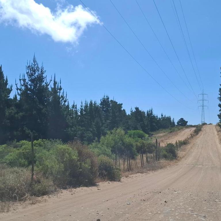 casa con parcela - Casa de 3 dormitorios - 2