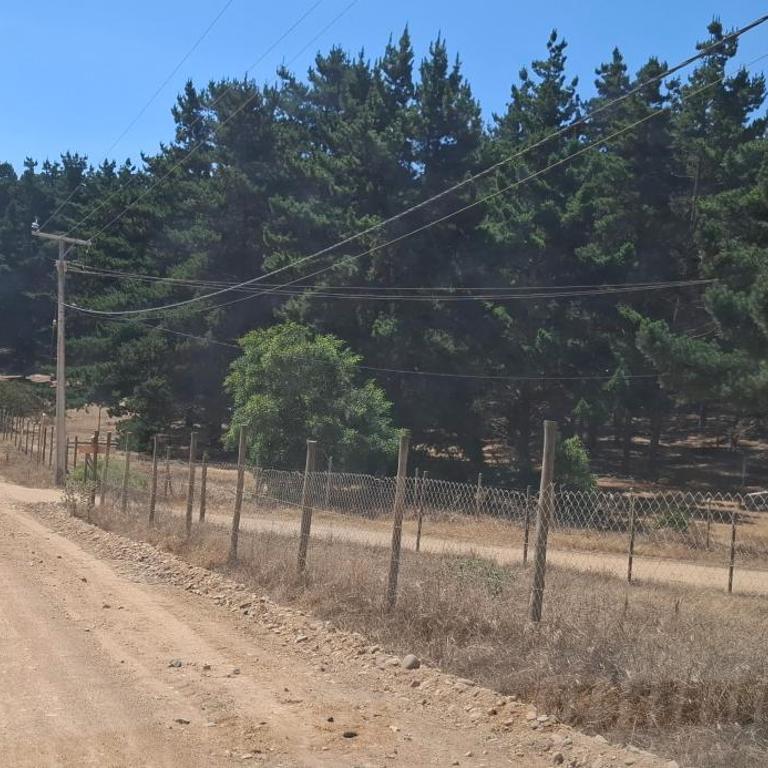 casa con parcela - Casa de 3 dormitorios - 36