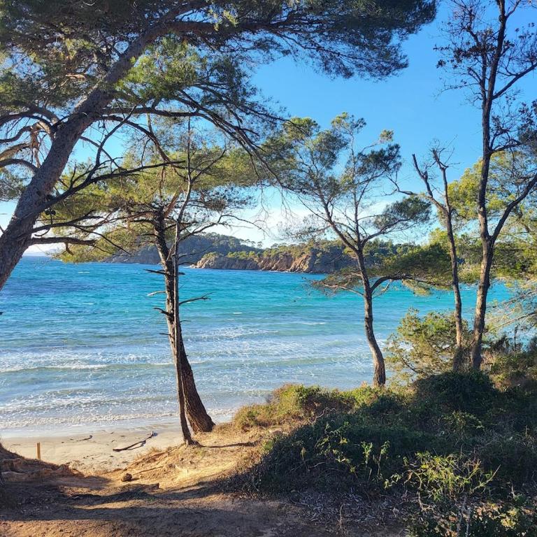 Rez-de-jardin, vue mer, Le Lavandou - Appartamento con 2 Camere da Letto - 7