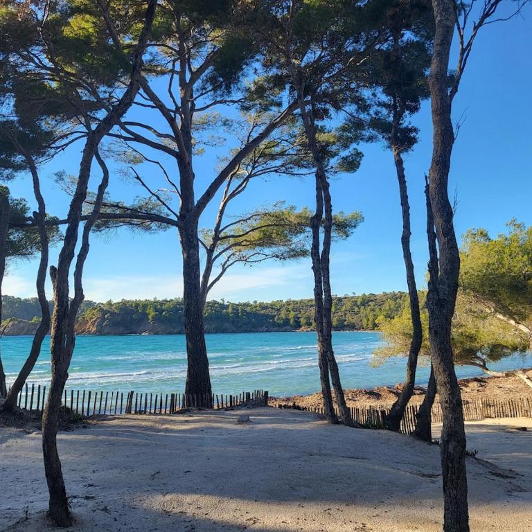 Rez-de-jardin, vue mer, Le Lavandou - Appartamento con 2 Camere da Letto - 10