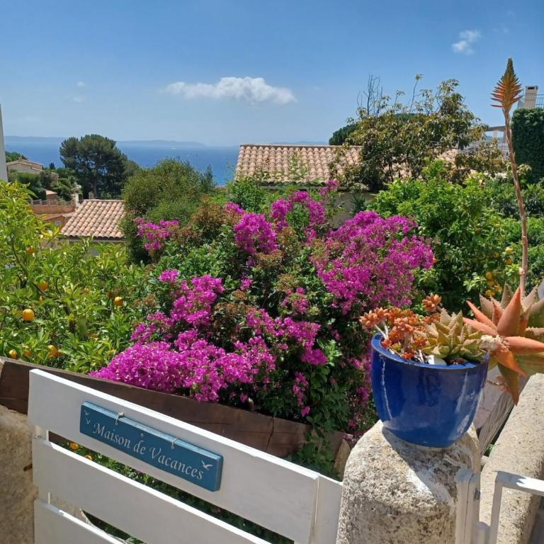 Rez-de-jardin, vue mer, Le Lavandou - Appartamento con 2 Camere da Letto - 13
