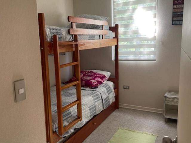 Parque del Volcan Pucon - Apartamento - 20