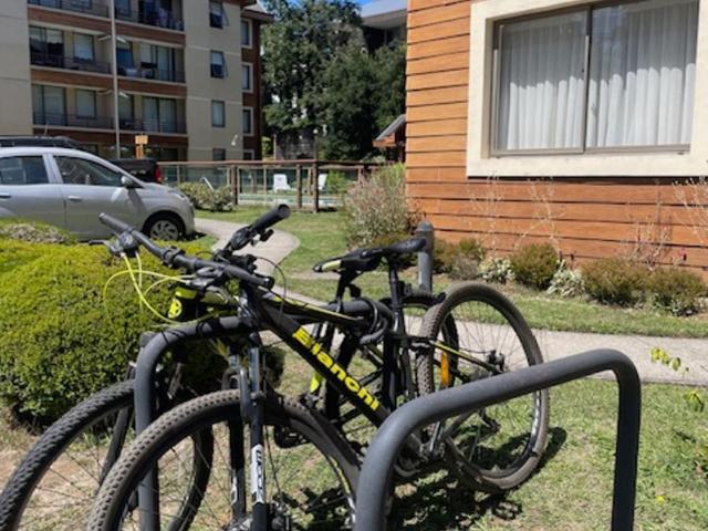 Parque del Volcan Pucon - Apartamento - 40