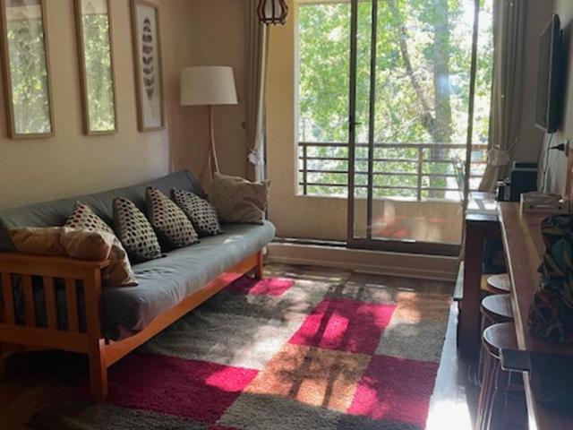 Parque del Volcan Pucon - Apartamento - 8