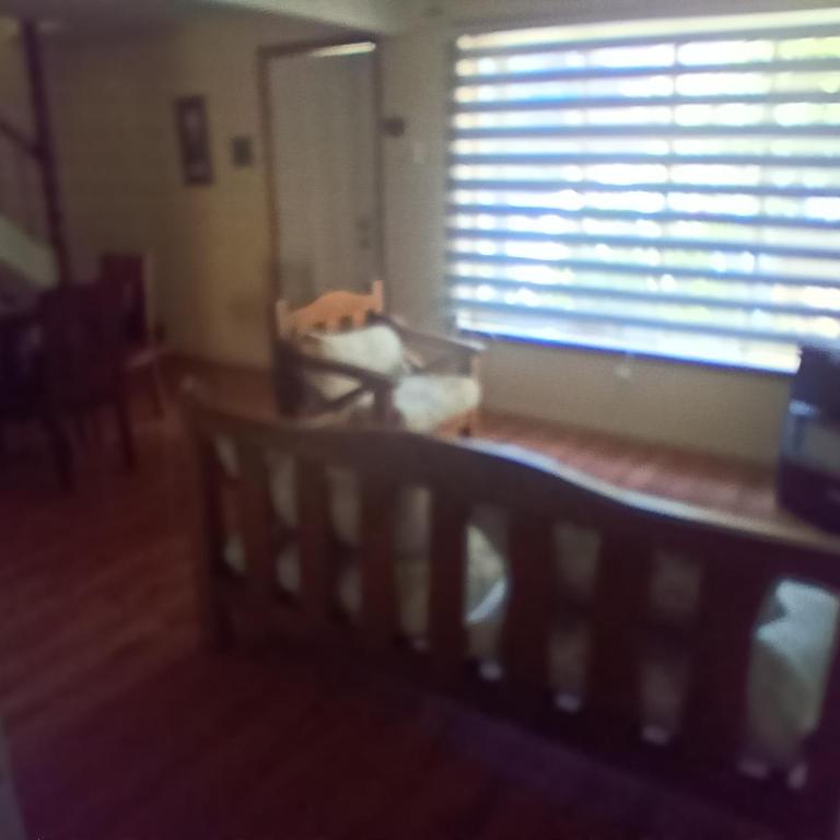 Cabañas Centrales - One-Bedroom Apartment - 4