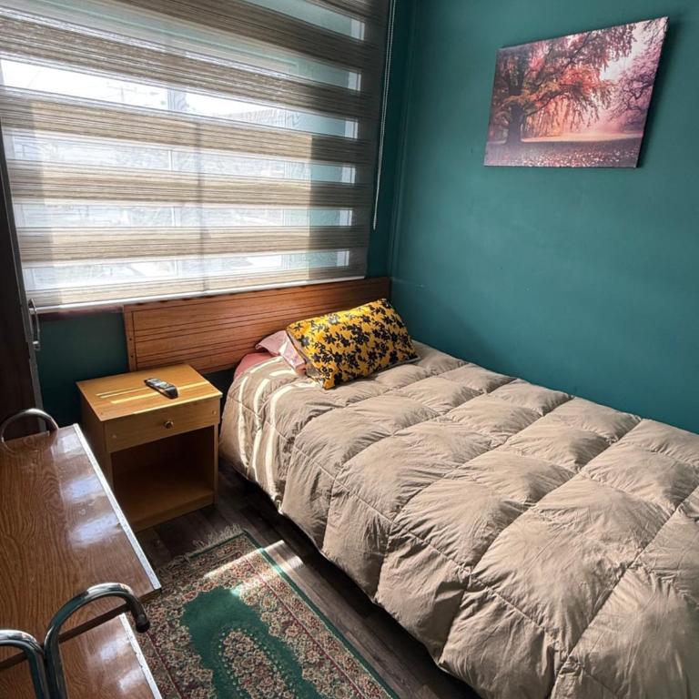 Hostal Torres Del Paine - Single Room with Shared Bathroom - 3