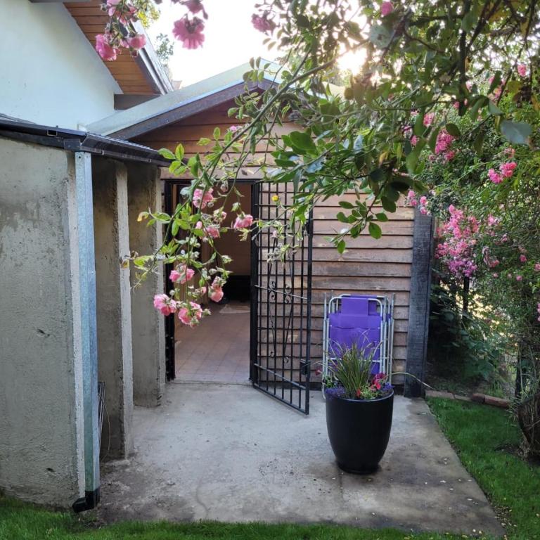 Cálida Cabaña ideal para parejas - Apartamento de 1 dormitorio - 2