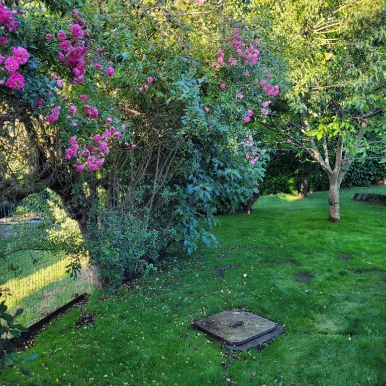 Cálida Cabaña ideal para parejas - Apartamento de 1 dormitorio - 22