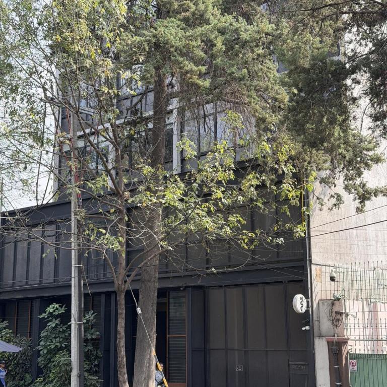 Loft with Urban View · Walk Everywhere Roma Norte - Apartamento de 1 dormitorio - 25