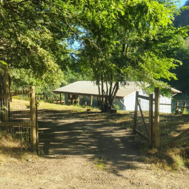 Cabaña Pucón - Two-Bedroom House - 6