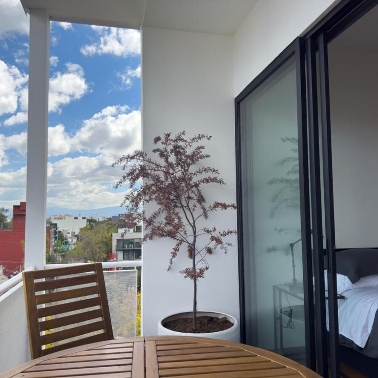 Roma-Condesa · Terraza privada + Queen · A/C - One-Bedroom Apartment - 41