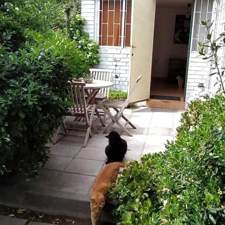 Estacionamiento, terraza y patio - Vacation Home - 6
