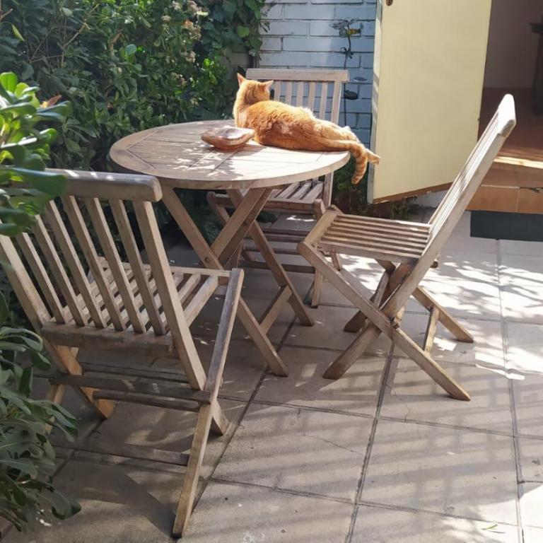 Estacionamiento, terraza y patio - Vacation Home - 21