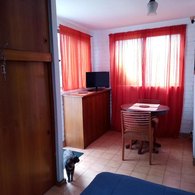 Estacionamiento, terraza y patio - Vacation Home - 39