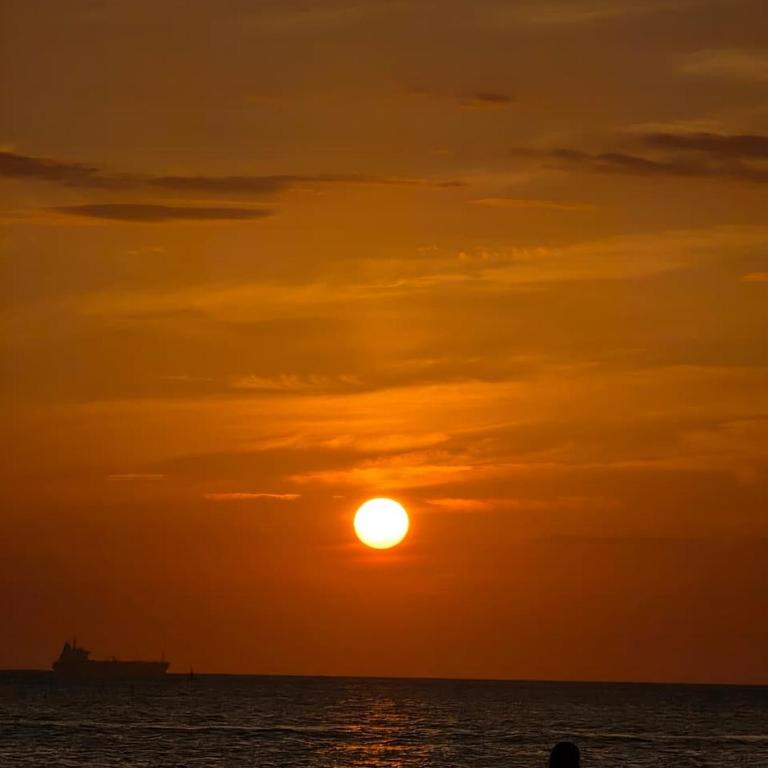 Gaira Sunset - Apartamento de 1 dormitorio - 1