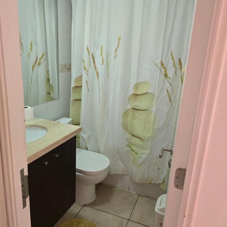Great savings in Cerro Polanco - up to 5 people - One-Bedroom Apartment - 2