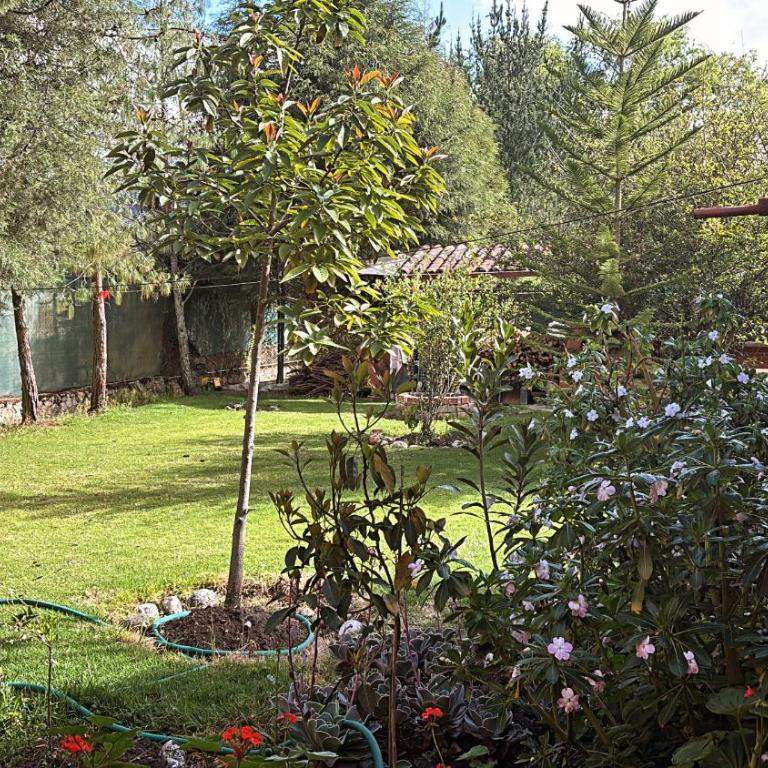 Bungalow Cajamarca - Casa de 2 dormitorios - 2