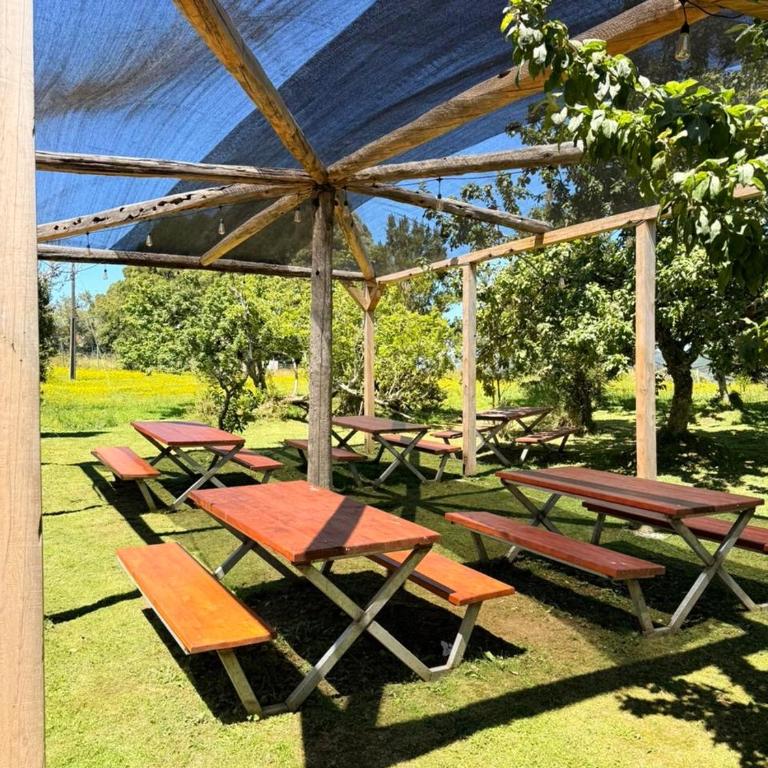 Riomar Ecolodge - One-Bedroom Apartment - 9