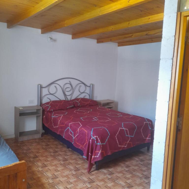 Departamento pipo - Apartamento de 2 dormitorios - 7