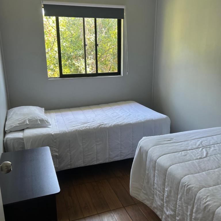 Apartamentos-Magnolia - Apartamento de 2 dormitorios - 2