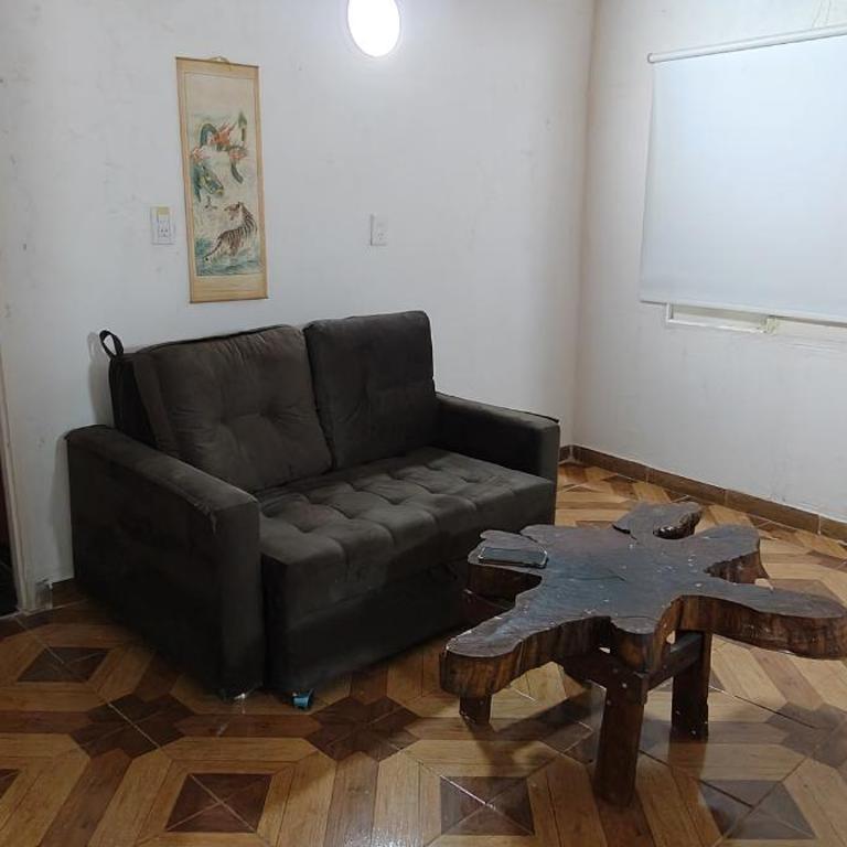 Amplio departamento amoblado 4 a 6 personas con cochera piscina Internet satelital, seguridad, zona comercial las 24hs a 2 cuadras de la Shell barrio las leñas - Apartamento de 1 dormitorio - 10