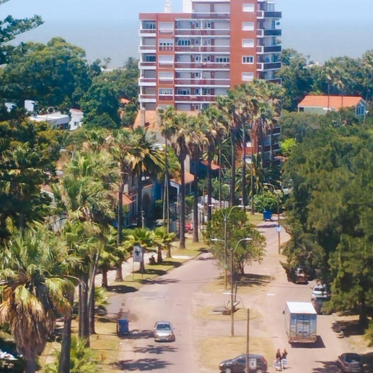 Funcional y bien ubicado - Apartamento de 1 dormitorio - 10