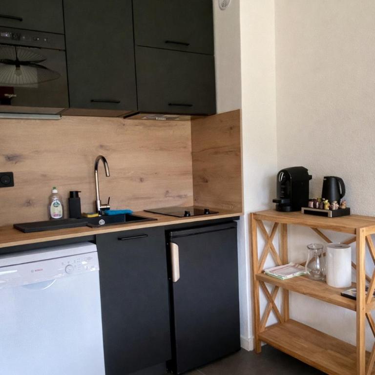 Appartement rénové T2, vue montagne - Appartement 2 Chambres - 4