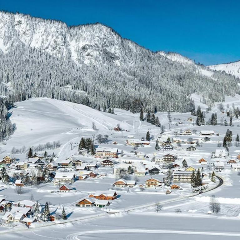 Apartment Alpenblick Bad Aussee - Apartment mit 1 Schlafzimmer - 32