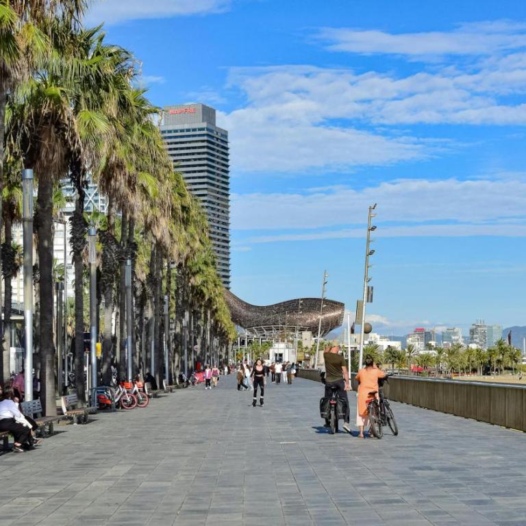 Poblenou Beach Penthouse l Loft with Private Terrace l 5 min Walk to the Beach - One-Bedroom Apartment - 55