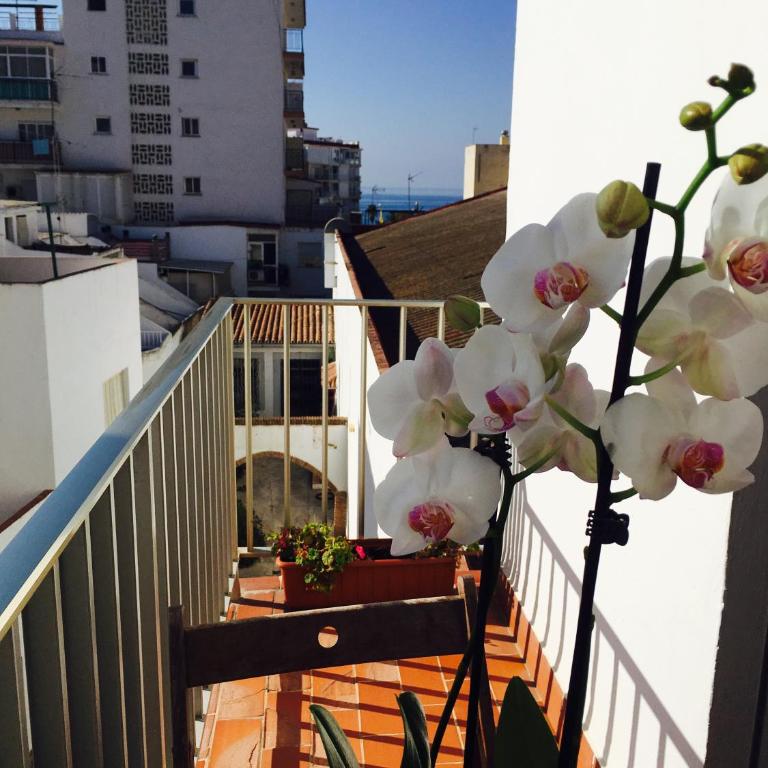 Axarquia Apartments - Apartamento con balcón y vistas al mar - 16