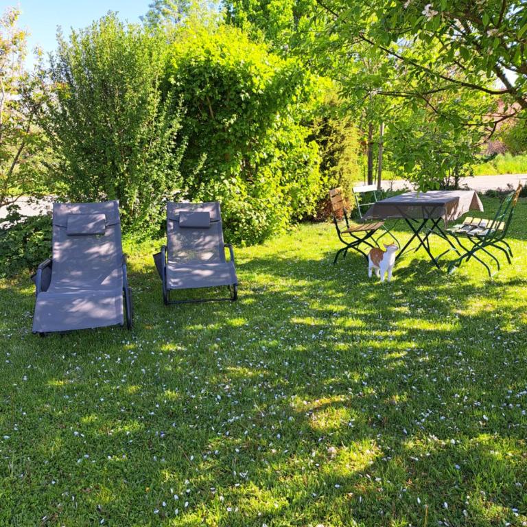 Ferienwohnungen Allgäublick am Radweg mit Fahrradgarage und Garten - Apartment mit 1 Schlafzimmer und Gartenblick - 19