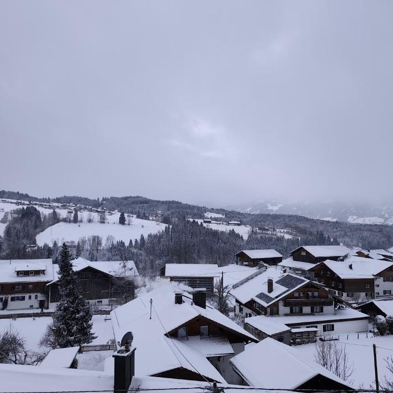 Appartement Alpblick - Apartment mit Terrasse - 3