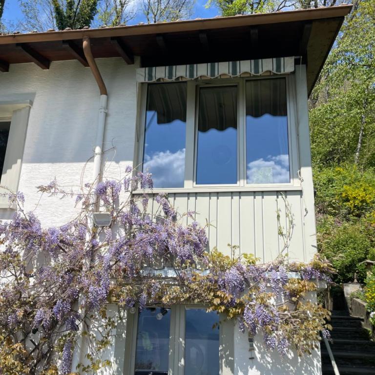 Lavaux Lodge - Romantic escape with magic views! - Villa mit Gartenblick - 7