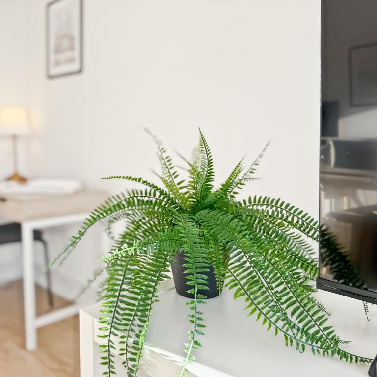 Le Soleil - Cosy & Garage Privé - Métro Rennes - Appartamento con 1 Camera da Letto - 18