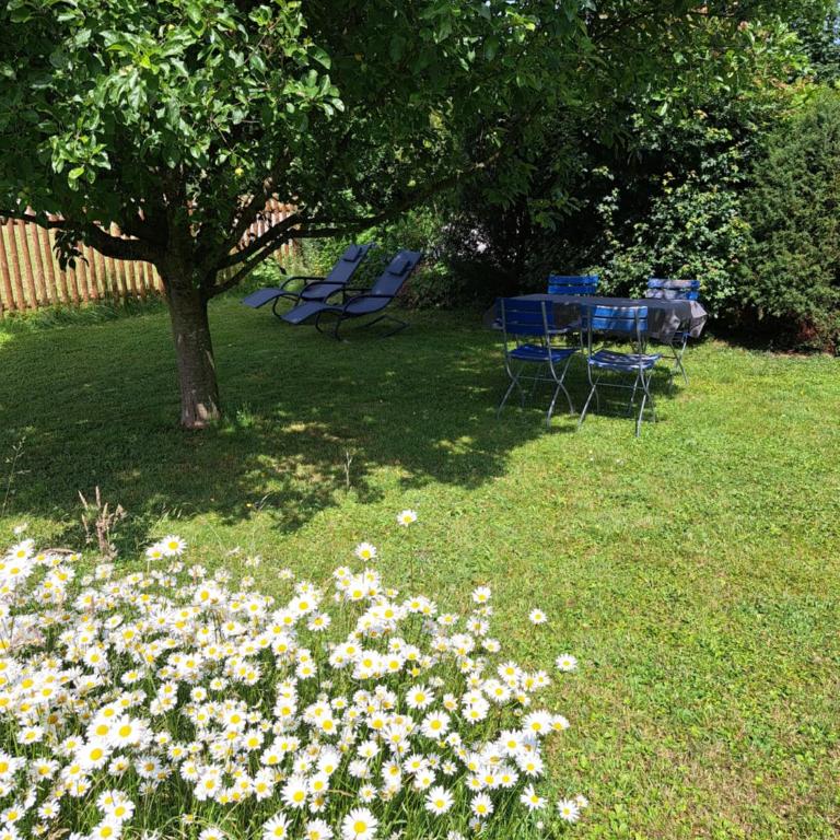Ferienwohnungen Allgäublick am Radweg mit Fahrradgarage und Garten - Apartment mit 1 Schlafzimmer und Gartenblick - 29