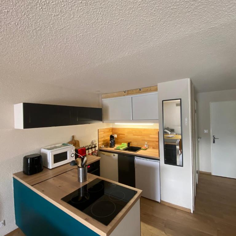 Ax 3 domaines - One-Bedroom Apartment - 4