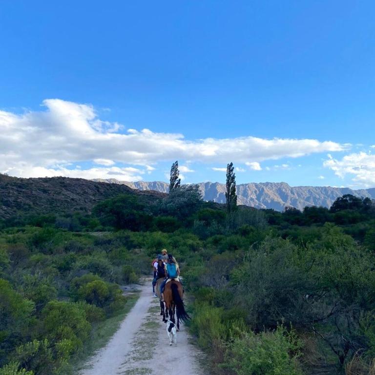 Iris,Tiny house en Las Calles, Traslasierra - One-Bedroom House - 59