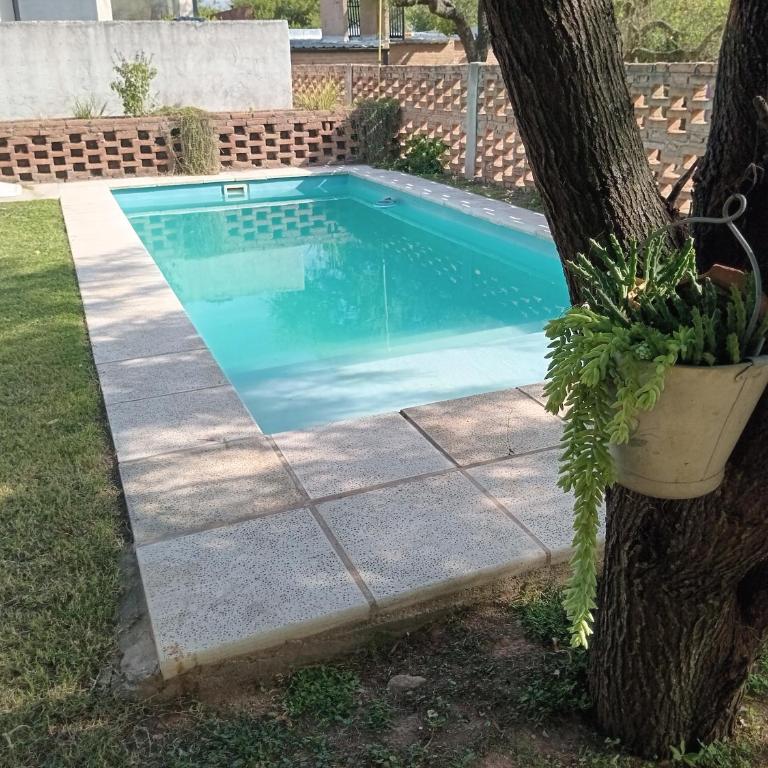 Virdi ca fui - Apartamento de 2 dormitorios - 3