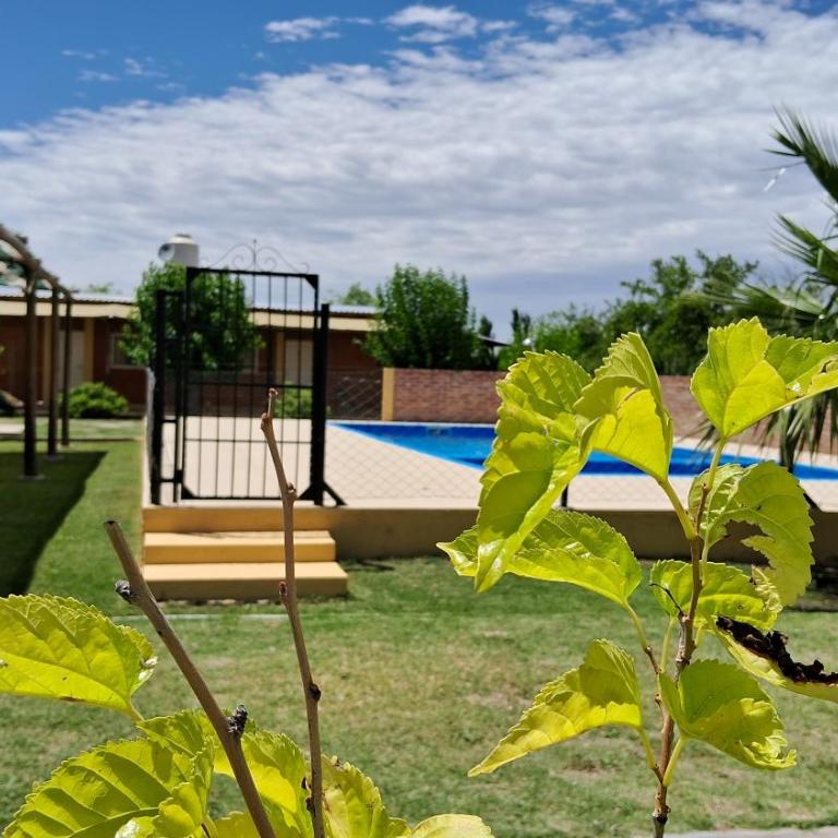 CABAÑAS SOL Y LUNA - Casa de 2 dormitorios - 10