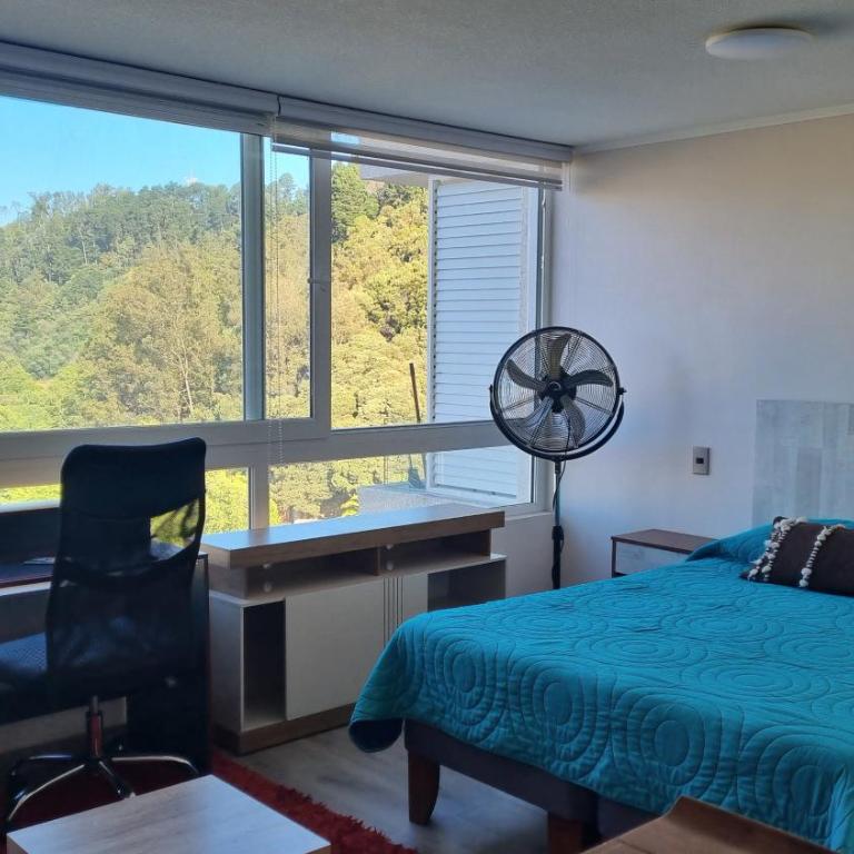 Hermoso depto Con vista al Parque Ecuador - One-Bedroom Apartment - 6