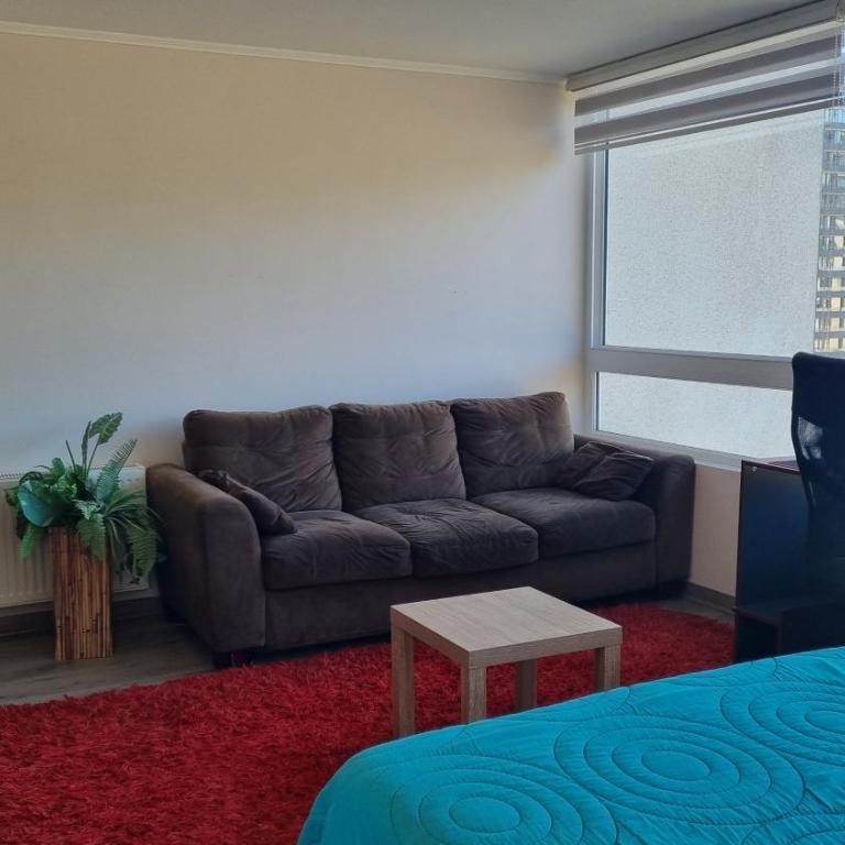 Hermoso depto Con vista al Parque Ecuador - One-Bedroom Apartment - 1