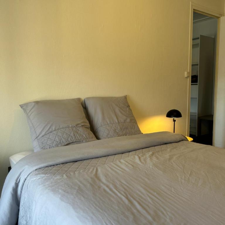 Appartement cosy à Saint-Étienne Quartier calme - Apartamento de 3 dormitorios - 18