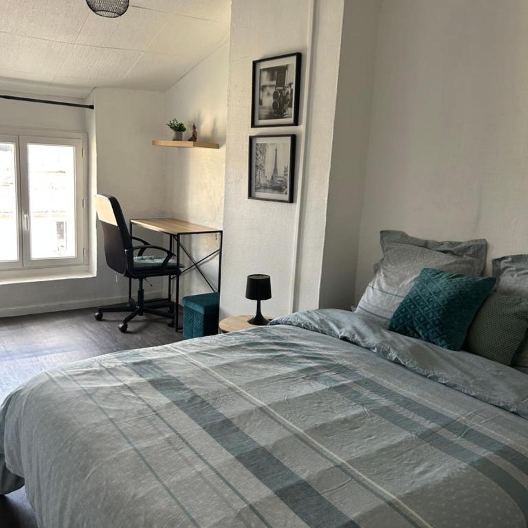 Appartement cosy à Saint-Étienne Quartier calme - Apartamento de 3 dormitorios - 15