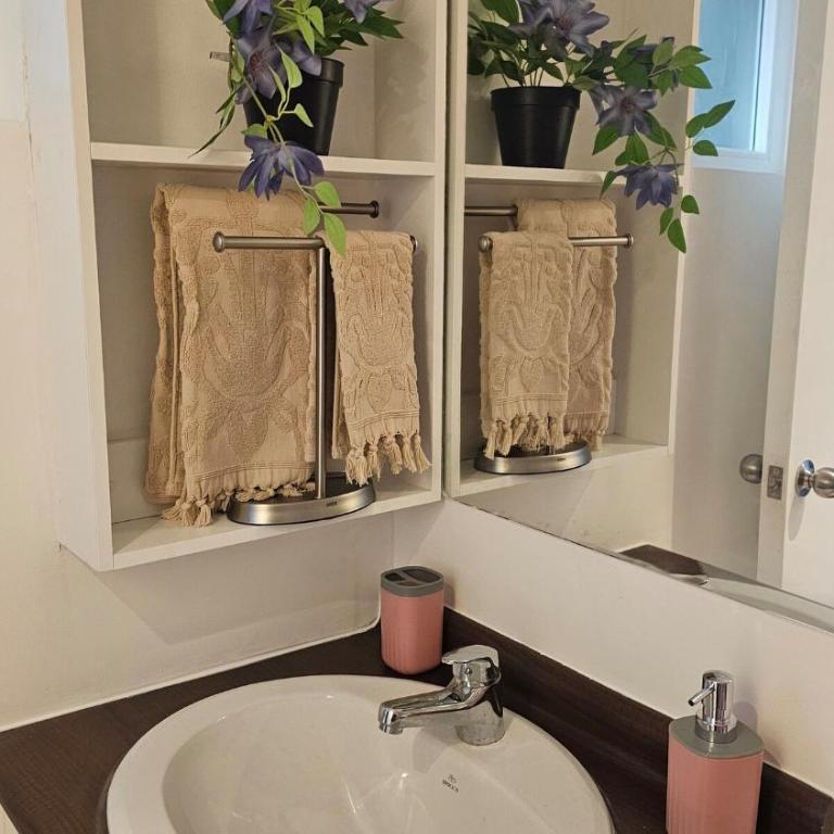 Departamento en el corazon de Villarrica - Apartamento de 2 dormitorios - 15